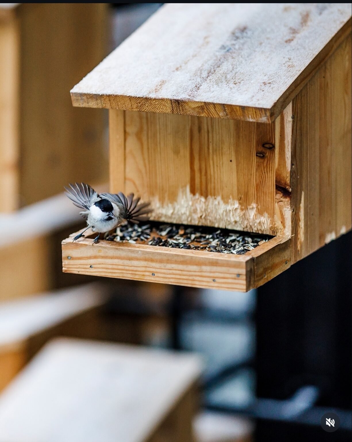 Screenshot_20260410_115249_com.instagram.android_edit_263744741873817